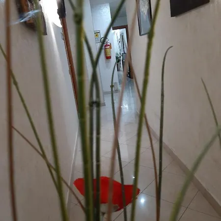 Al Settimo Cielo Bed & Breakfast Roma